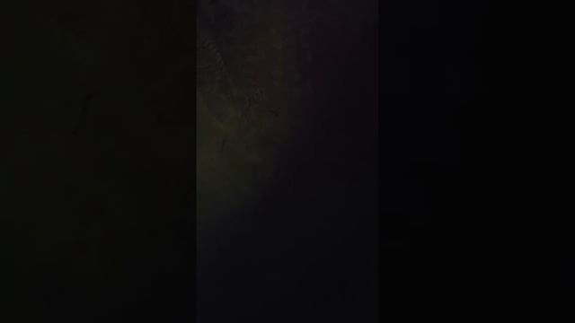 BMW N62B48  детонация на холостом ходу