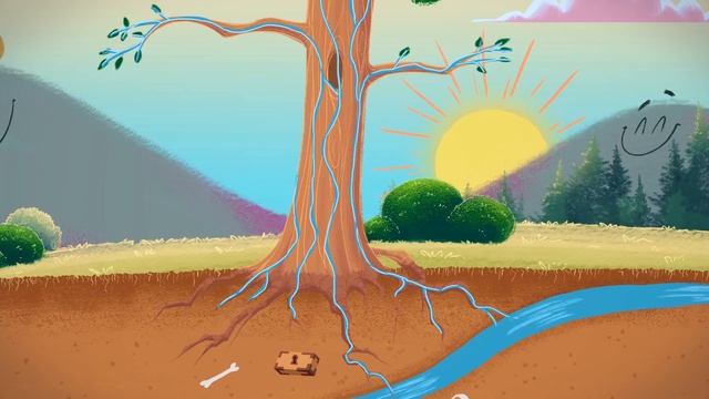 Discover what makes up a tree - Smartkids смотреть онлайн