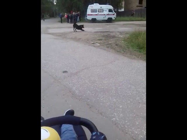 Ухта ЧП смотреть онлайн