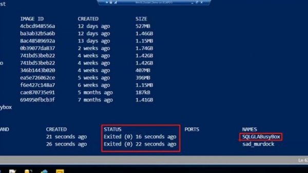 Learn Docker in 12 Steps - Step 4 - docker run