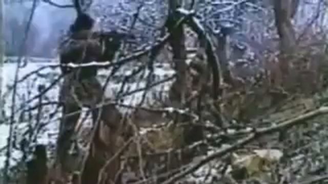 Армейские песни,Автобат, Автомобильные войска