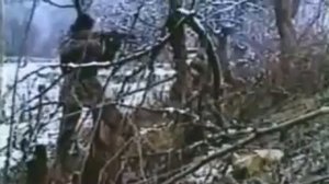 Армейские песни,Автобат, Автомобильные войска