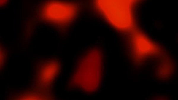 2h Trippy Blurry Red Neon Lights Background | No Sound 4K