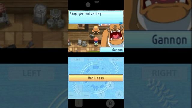 Harvest Moon Sunshine Islands DS Random Events - Manliness смотреть онлайн