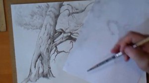 Как рисовать скетчи. Как нарисовать дерево. Рисунки для срисовки