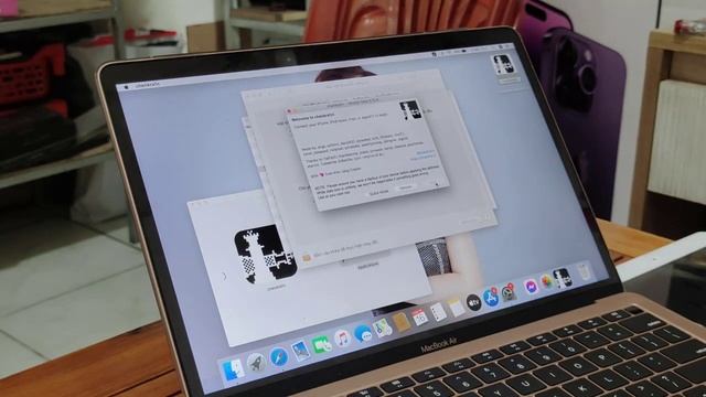 Jailbreak and Bypass icloud iPhone/ iPad iOS 12.5.X смотреть онлайн