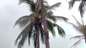 Экскурсия по острову Самуй