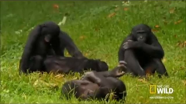 Кайфуем сегодня мы с тобой кайфуем смотреть онлайн