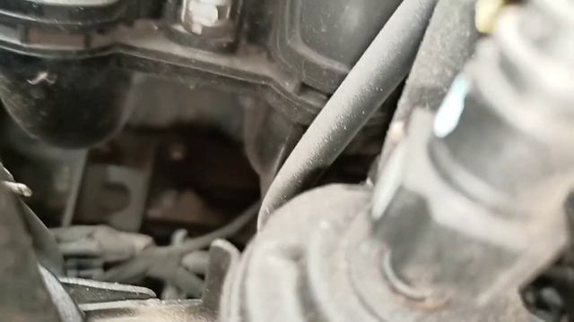 Toyota Hilux Vigo Champ TGN16 Chassis And Engine Number Location#vin location смотреть онлайн
