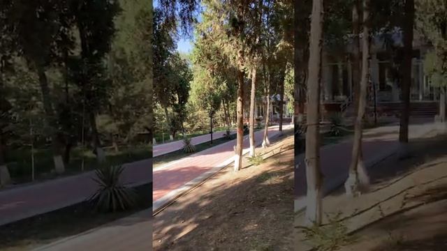 Санаторий Чартак Наманганская область смотреть онлайн