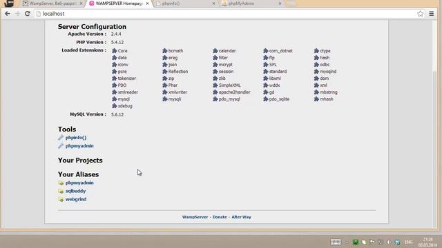 WAMP Server - легкий путь в веб разработку смотреть онлайн