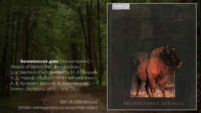 Заповедные места Беларуси смотреть онлайн