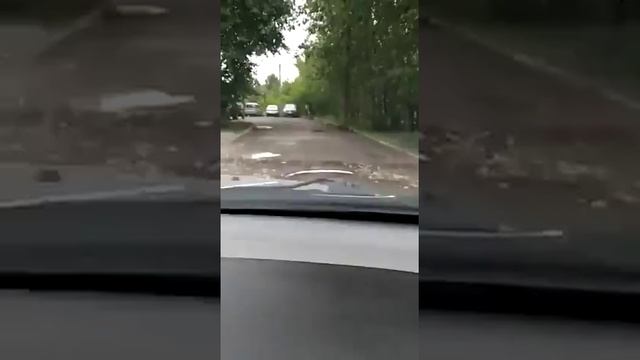 Лось на улице Солнечной в Кирове смотреть онлайн