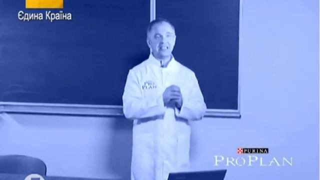 АКТИРОВКА - осмотр животных смотреть онлайн