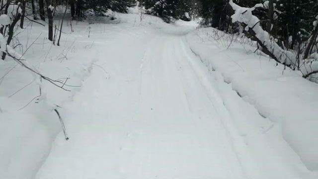 Прогулка на снегоходе в окрестностях Нязепетровска смотреть онлайн