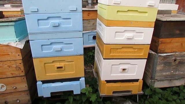 ответы на вопросы по улью биненхаус ( Bienenhaus ) - в какой цвет лучше красить улей