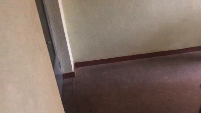 Лифт МЛЗ 1995 г. в. @ Ул. Руссиянова, 4 смотреть онлайн