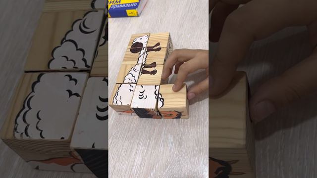 До 12-15 лет активно развивается лобная частью мозга, Пазл лучший вариант смотреть онлайн