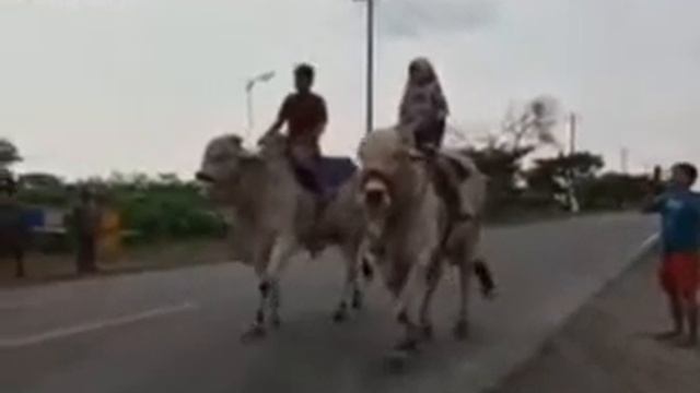 Love Story at North Lawu Mountain East Java"* смотреть онлайн
