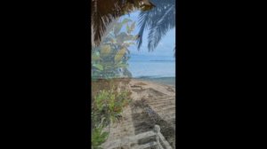 Абхазия «Арбика»