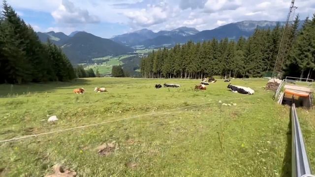 ??WOW FUN RIDE | Maryam, Fatima and Masud | Tobaggan at Karkogel Mountain in Abtenau Austria смотреть онлайн