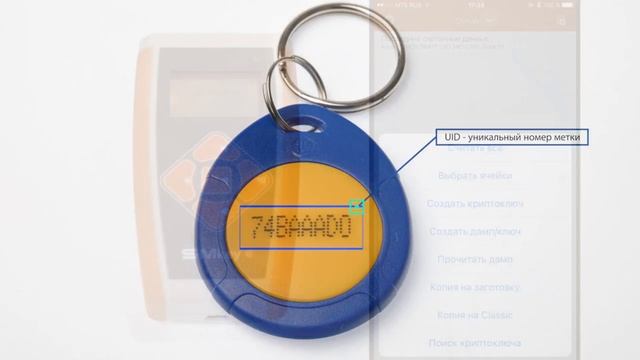 SMKey - программатор, копир ключей Mifare купить в StarNew.ru