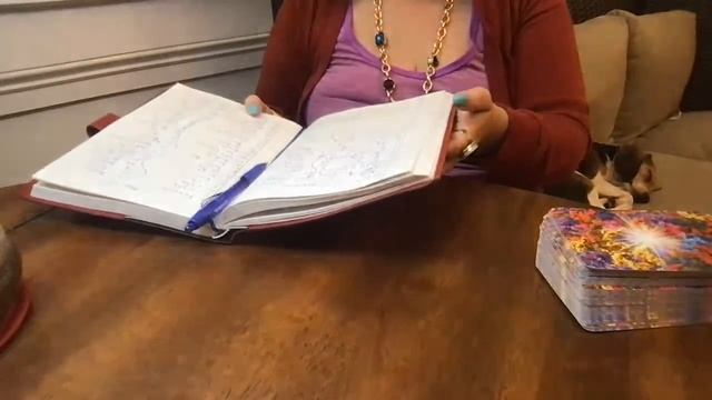 FREE Tarot Live (Yes/No) Reading! New Year Love and Money plus Chinese Animal Year predictions смотреть онлайн