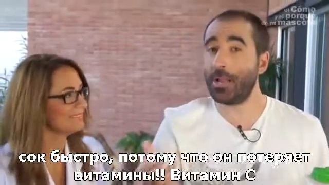 Дегу-клетка и особенности питания (часть 2) смотреть онлайн