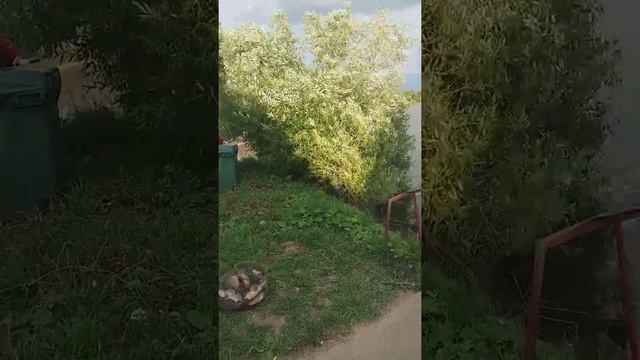 Рыбхоз Осёнка смотреть онлайн