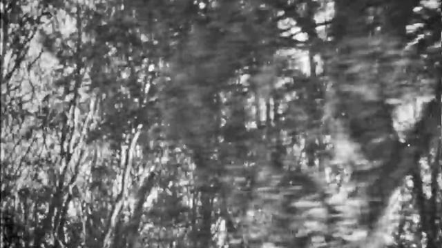 Волго-Ахтубинская пойма, 1985. смотреть онлайн