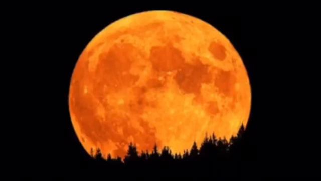 Orange Moon смотреть онлайн