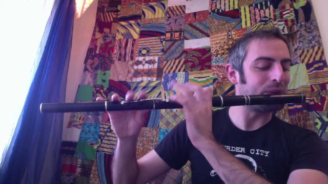 The Gravel Walks - Irish Flute - slow/fast смотреть онлайн