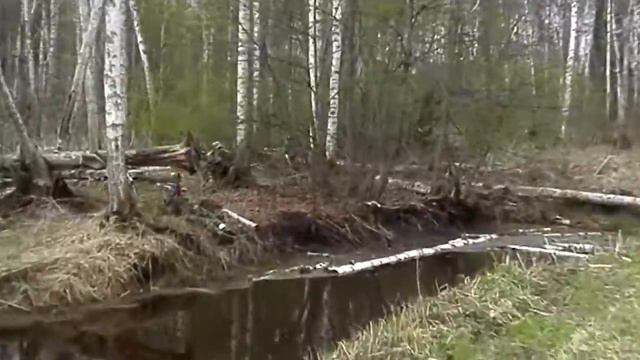 Открытие СК 2018 (Страйкбол/Airsoft) смотреть онлайн
