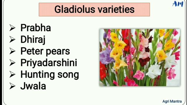 New Teacher on Agri Mantra || Mr. Akash Bajpayi || Horticulture || Demo Class ||Best Teaching Metho смотреть онлайн