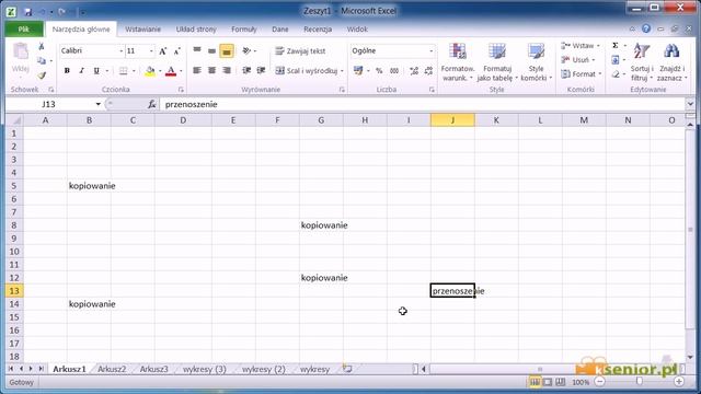 5. Microsoft Excel 2007/2010 - podstawowe operacje - kopiowanie, przenoszenie,usuwanie смотреть онлайн