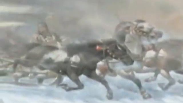 ТРОЙКА БЕЛЫХ КОНЕЙ стихи А. БАРАБАШ, поет С. СТРАУСОВА смотреть онлайн