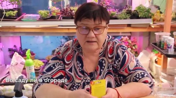 ПОСЛЕ ЭТОГО ЗЕМЛЯНИКА ВСХОДИТ КОВРОМ! ПОСЕВ ЗЕМЛЯНИКИ. ЗЕМЛЯНИКА ИЗ СЕМЯН