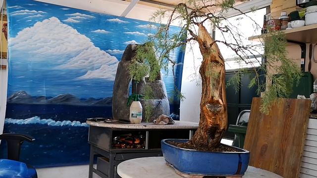 El tamarisco 2nd parte limpiar madera muerta dar líquido de Jin смотреть онлайн