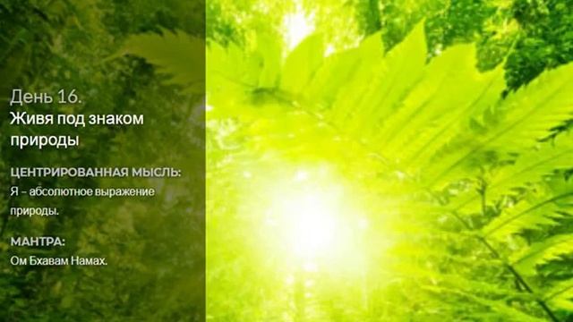 День 16 Медитация "Живя под знаком природы" ( Дипак Чопра) смотреть онлайн