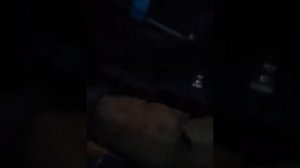 Где находиться ЭБУ Jetronik / Motronik электронный блок управления ("Мозги") Audi 80 b3 Ауди 80 б3