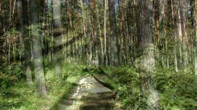 Горный Алтай. Путешествие: Ая - Чемал - Аскат. Gorny Altai. The journey: Aya - Chemal - Askat смотреть онлайн