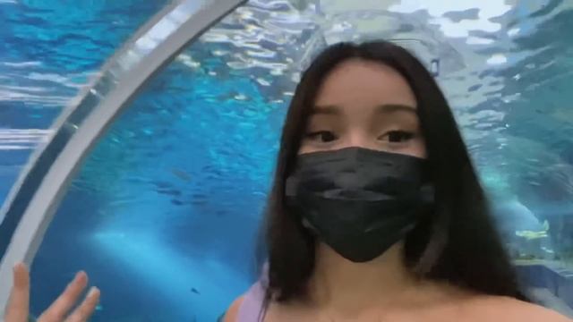 Aquadining Date with my Sister! | Food Vlog смотреть онлайн