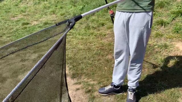 Белый Амур на пружину на убийцу карася на Фидер. Рыбалка на фидер и на флэт. Семейная рыбалка смотреть онлайн