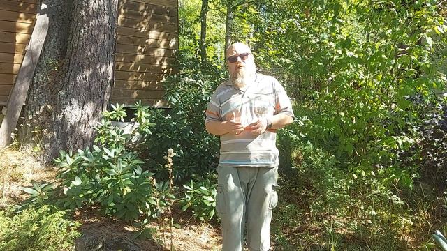 Лицо У Дачи Краеведение у рододендронов смотреть онлайн