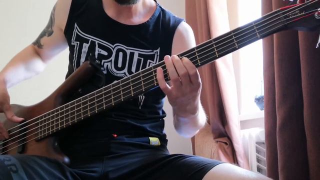 Guano apes - Lose yourself (bass cover) смотреть онлайн