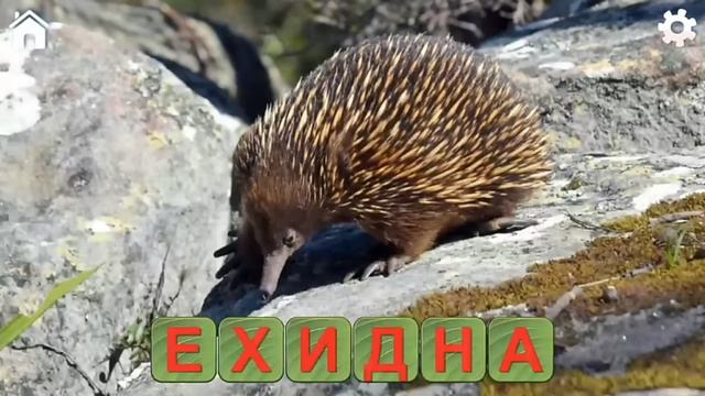 Читаем по слогам. Аист смотреть онлайн