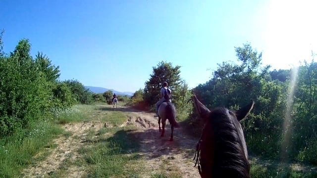 КОННАЯ ПРОГУЛКА // КРЫМ // Reiten auf der Krim смотреть онлайн