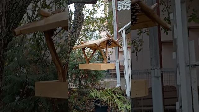 Кормушка для птиц и белок "Причудливая", подвесная Мастерская Звезда Уссури? г.Краснодар смотреть онлайн