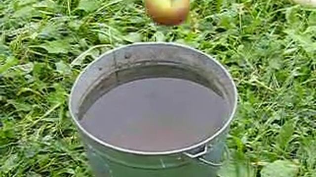 Panasonic Lumix FZ150 - slow motion - apple fall water смотреть онлайн