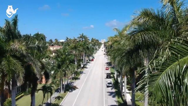 Из-за климатических проблем Miami Beach рискует потерять свой символ смотреть онлайн